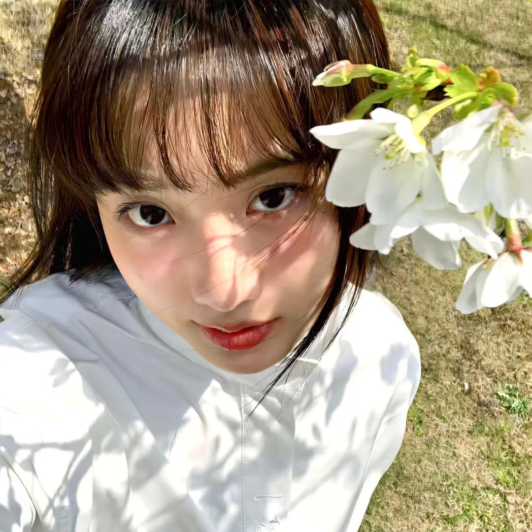 白日美人